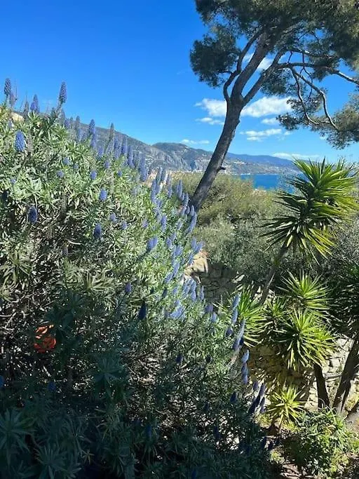 Superbe Appartement Vue Imprenable Sur La Mer Proche Monaco Roquebrune-Cap-Martin Apartment